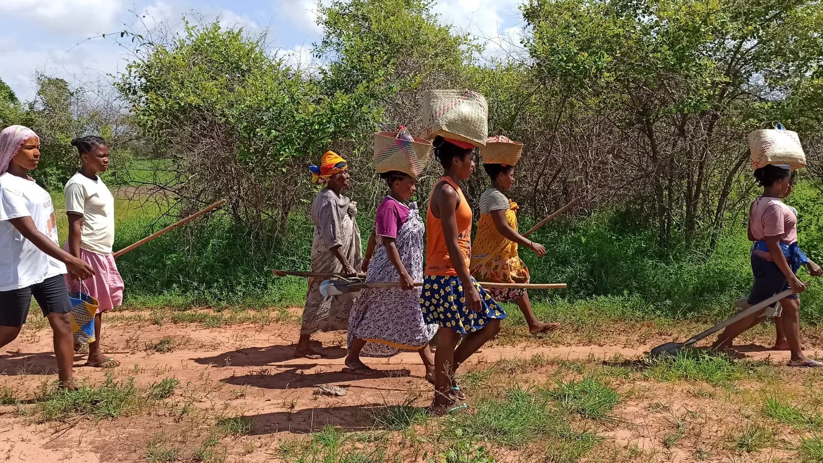 Ankilahila Dry Deciduous Forest