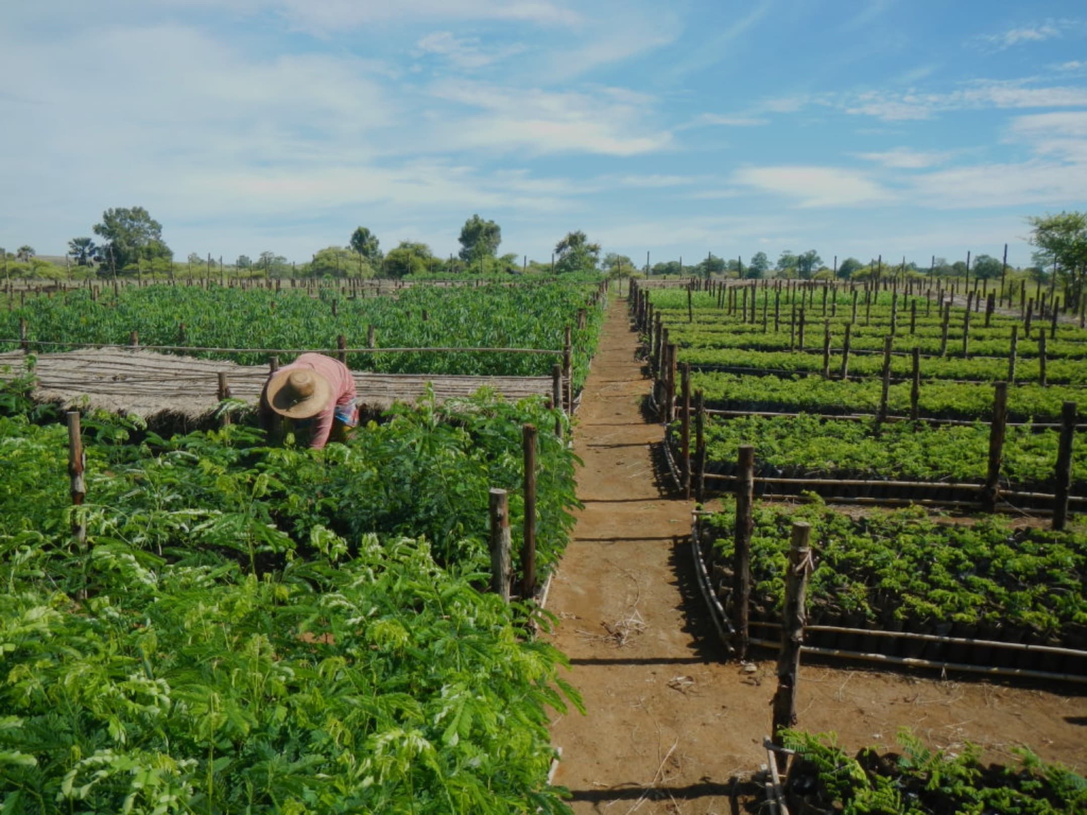True Village Antanamarina Forest