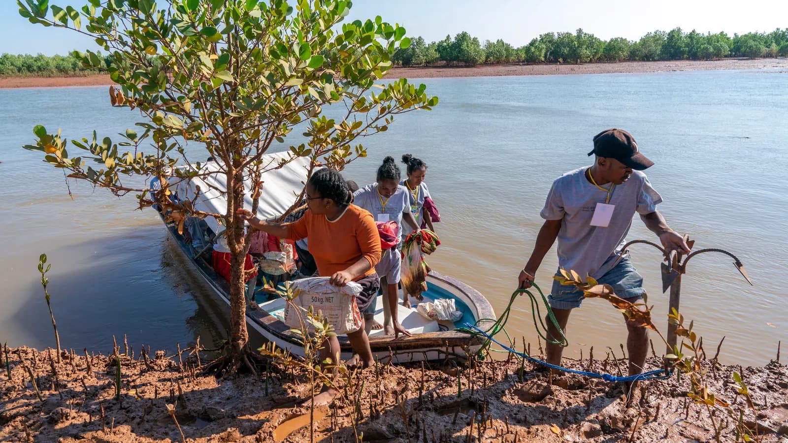 Community members planting trees in Madagascar