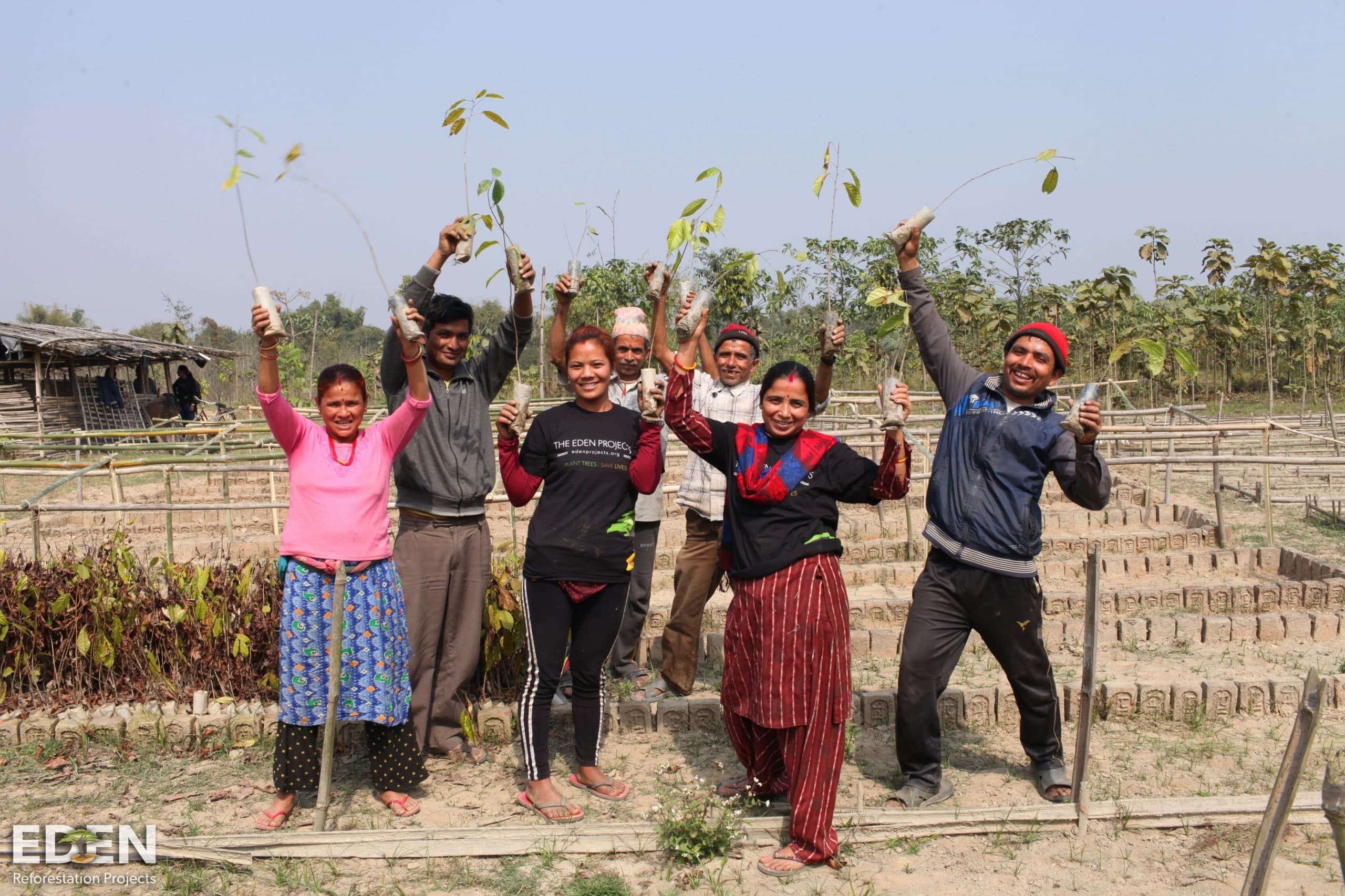 Madagascar General Planting