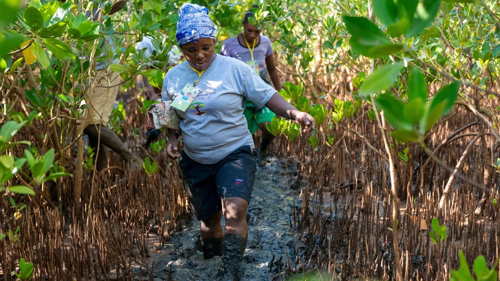 Eden Reforestation team planting trees